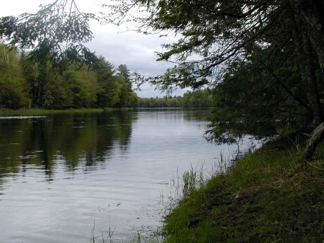 Images/keag river from river trail 1.jpg